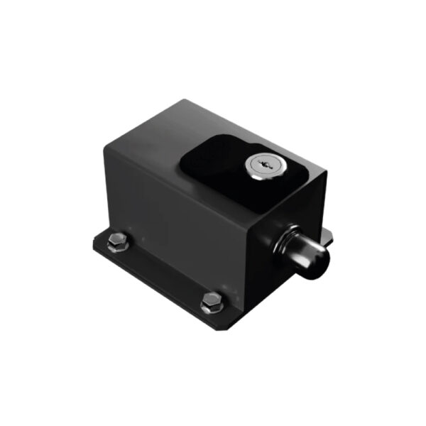 Chapa Dog Steel Custom