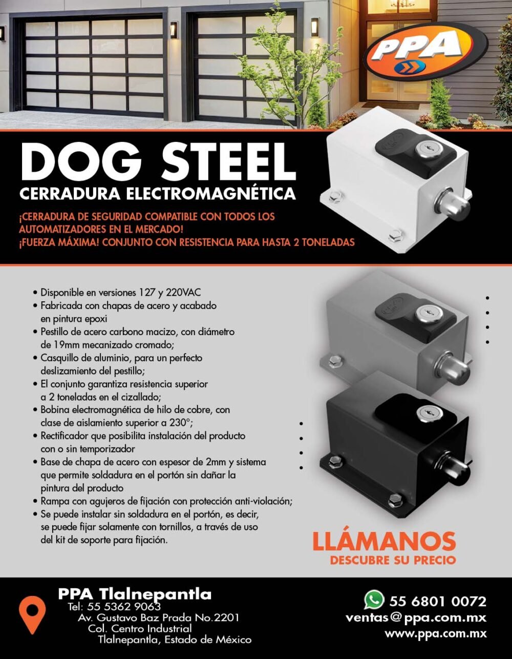 CHAPA DOG STEEL CUSTOM - Imagen 3